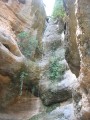 Agrandir 1009.jpg