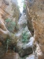 Agrandir 1010.jpg