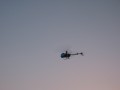 Agrandir 1030.jpg