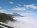 Agrandir IMG_6906.JPG